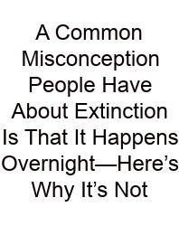 A Common Misconception People Have About Extinction Is That It Happens Overnight—Here’s Why It’s Not
