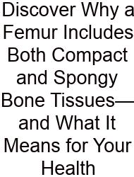 Discover Why A Femur Includes Both Compact And Spongy Bone Tissues—and What It Means For Your Health