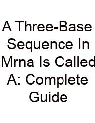 A Three-Base Sequence In Mrna Is Called A: Complete Guide