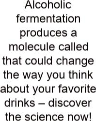 Alcoholic Fermentation Produces A Molecule Called That Could Change The Way You Think About Your Favorite Drinks – Discover The Science Now!