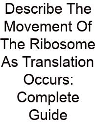 Describe The Movement Of The Ribosome As Translation Occurs: Complete Guide