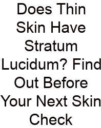 Does Thin Skin Have Stratum Lucidum? Find Out Before Your Next Skin Check