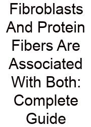 Fibroblasts And Protein Fibers Are Associated With Both: Complete Guide