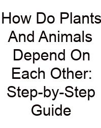 How Do Plants And Animals Depend On Each Other: Step-by-Step Guide