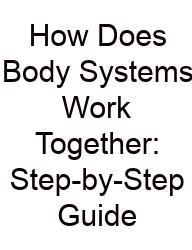 How Does Body Systems Work Together: Step-by-Step Guide