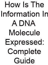 How Is The Information In A DNA Molecule Expressed: Complete Guide