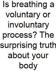Is Breathing A Voluntary Or Involuntary Process? The Surprising Truth About Your Body