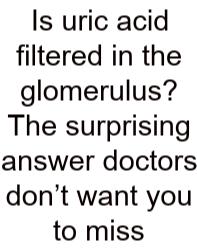 Is Uric Acid Filtered In The Glomerulus? The Surprising Answer Doctors Don’t Want You To Miss