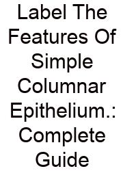 Label The Features Of Simple Columnar Epithelium.: Complete Guide