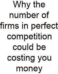 Why The Number Of Firms In Perfect Competition Could Be Costing You Money