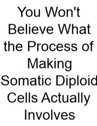 You Won't Believe What The Process Of Making Somatic Diploid Cells Actually Involves