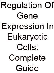 Regulation Of Gene Expression In Eukaryotic Cells: Complete Guide