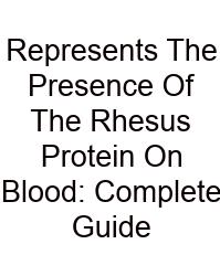 Represents The Presence Of The Rhesus Protein On Blood: Complete Guide