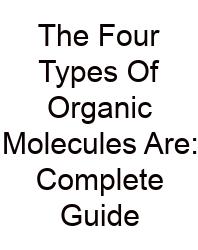 The Four Types Of Organic Molecules Are: Complete Guide