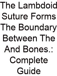 The Lambdoid Suture Forms The Boundary Between The And Bones.: Complete Guide