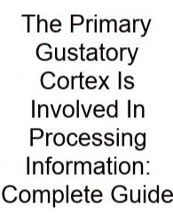 The Primary Gustatory Cortex Is Involved In Processing Information: Complete Guide