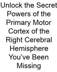 Unlock The Secret Powers Of The Primary Motor Cortex Of The Right Cerebral Hemisphere You’ve Been Missing
