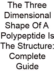 The Three Dimensional Shape Of A Polypeptide Is The Structure: Complete Guide