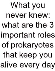 What You Never Knew: What Are The 3 Important Roles Of Prokaryotes That Keep You Alive Every Day