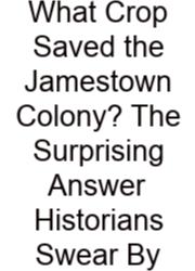What Crop Saved The Jamestown Colony? The Surprising Answer Historians Swear By