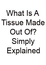 What Is A Tissue Made Out Of? Simply Explained