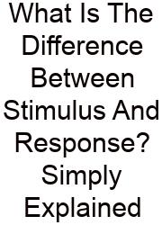 What Is The Difference Between Stimulus And Response? Simply Explained
