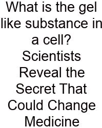 What Is The Gel Like Substance In A Cell? Scientists Reveal The Secret That Could Change Medicine