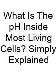 What Is The PH Inside Most Living Cells? Simply Explained