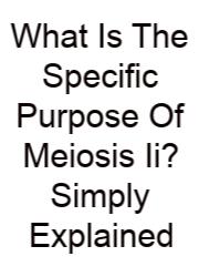 What Is The Specific Purpose Of Meiosis Ii? Simply Explained