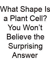 What Shape Is A Plant Cell? You Won’t Believe The Surprising Answer