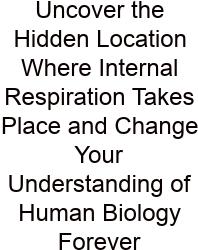 Uncover The Hidden Location Where Internal Respiration Takes Place And Change Your Understanding Of Human Biology Forever