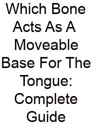 Which Bone Acts As A Moveable Base For The Tongue: Complete Guide