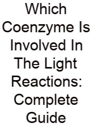 Which Coenzyme Is Involved In The Light Reactions: Complete Guide