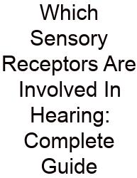 Which Sensory Receptors Are Involved In Hearing: Complete Guide