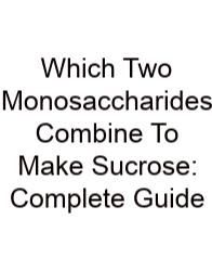 Which Two Monosaccharides Combine To Make Sucrose: Complete Guide