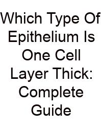Which Type Of Epithelium Is One Cell Layer Thick: Complete Guide