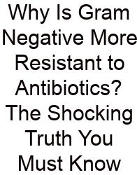Why Is Gram Negative More Resistant To Antibiotics? The Shocking Truth You Must Know